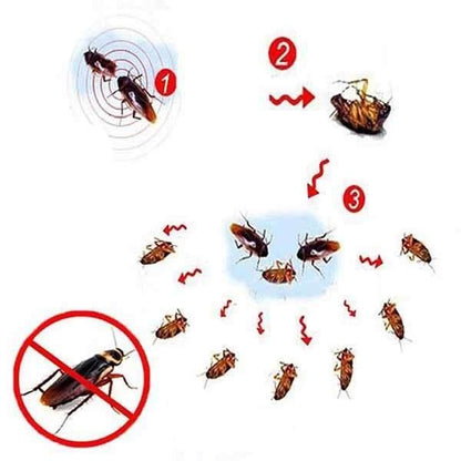 EXTERMINIQ – 3 pieces cockroach gel bait (10g) for effective pest control 4