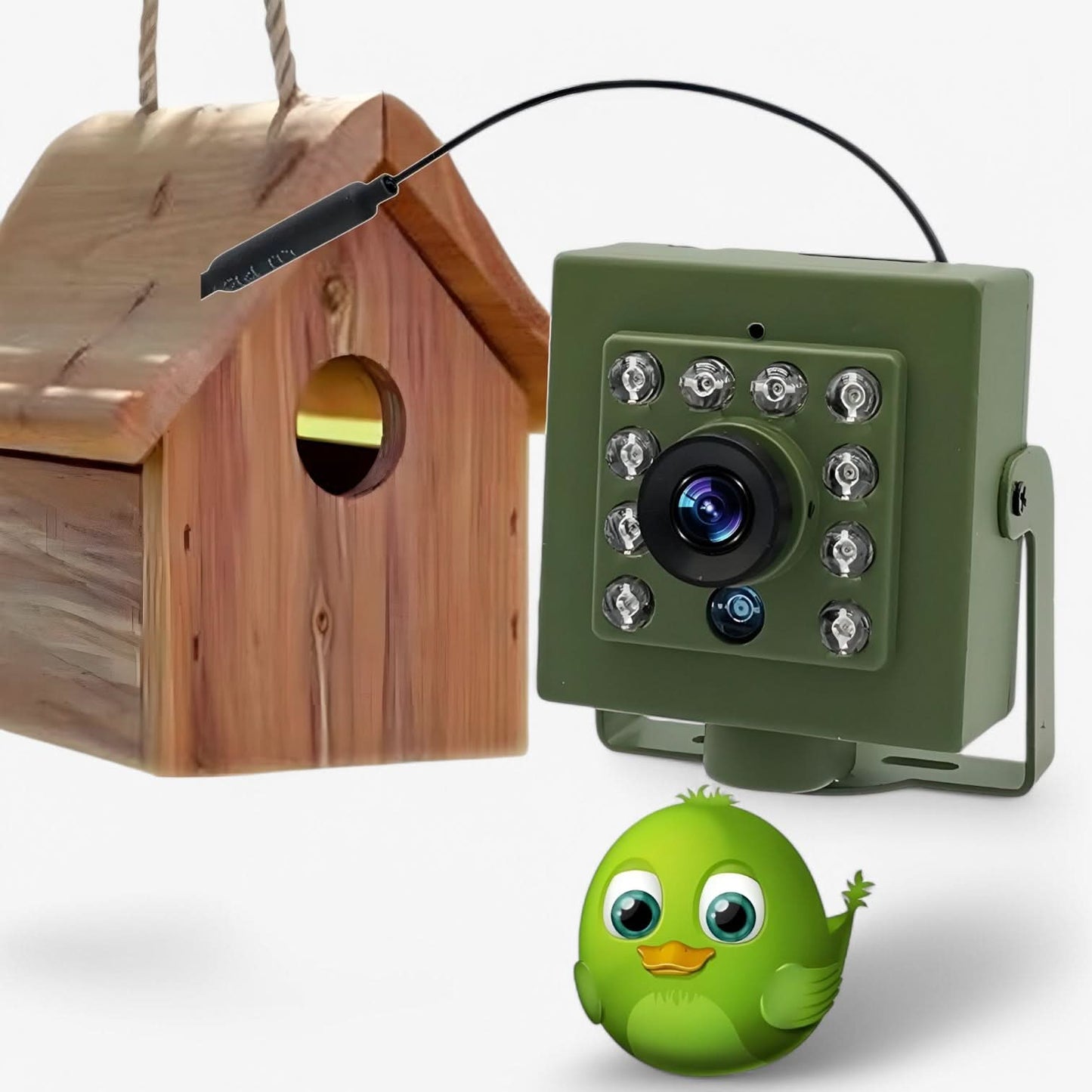 NestCam WLAN camera - 1080p HD & weatherproof for impressive birdwatching 1