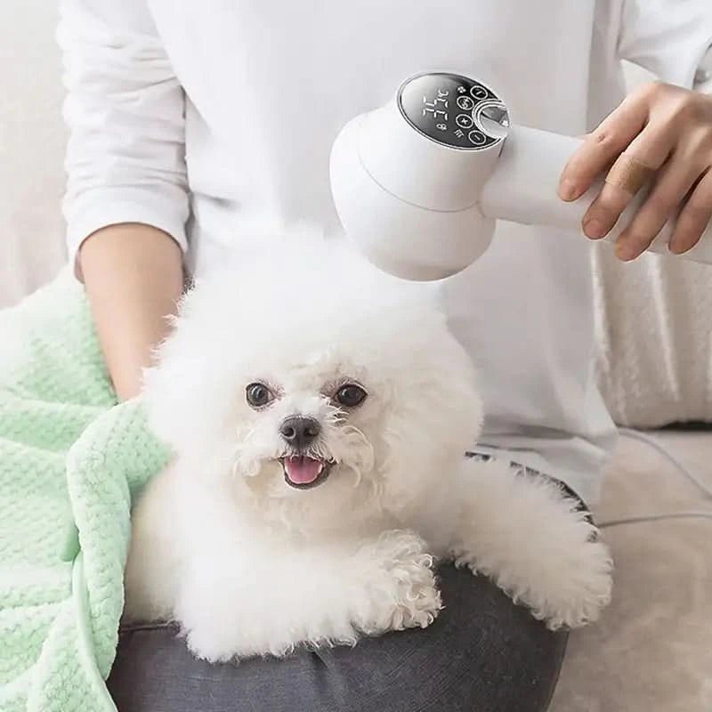 SILKPAW DRYER – Gentle drying & brushing for a relaxed grooming experience 2