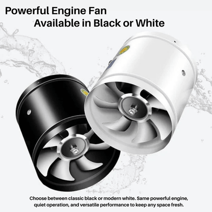 VENTURA – Powerful extractor fan for fresh air 6