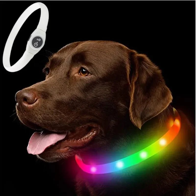WOOFBEAM – LED Light Collar for Dogs for Safe Walks at Night 10