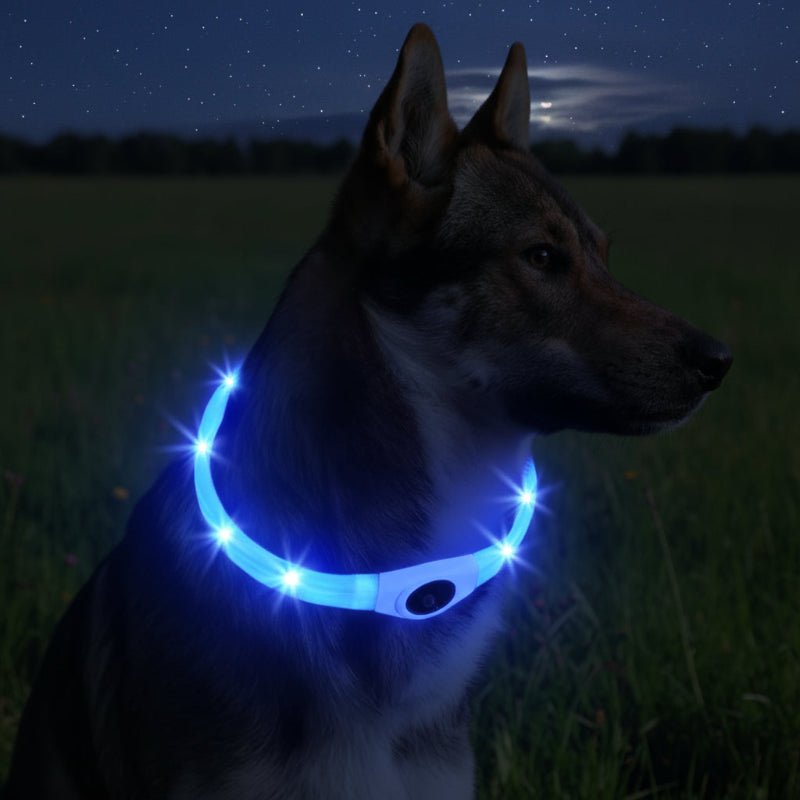 WOOFBEAM – LED Light Collar for Dogs for Safe Walks at Night 2