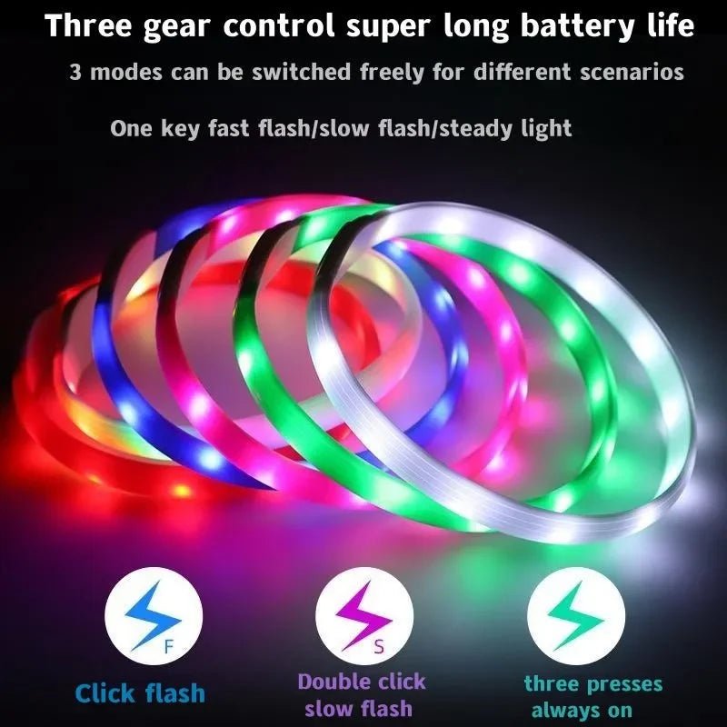 WOOFBEAM – LED Light Collar for Dogs for Safe Walks at Night 4